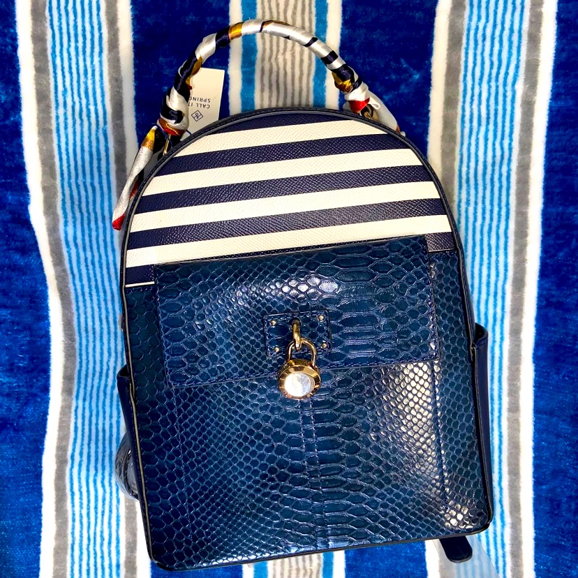 Nwt Mini Backpack